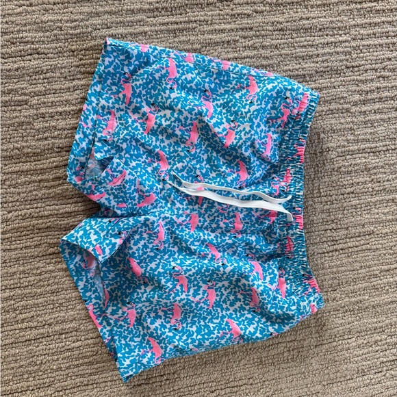 chubbies Other - chubbies Kids Teal Swim Trunks with Pink Dolphin Print